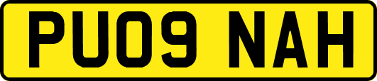 PU09NAH