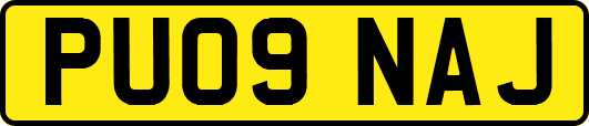 PU09NAJ