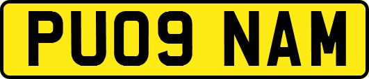PU09NAM