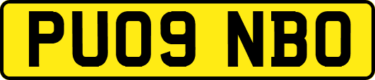 PU09NBO