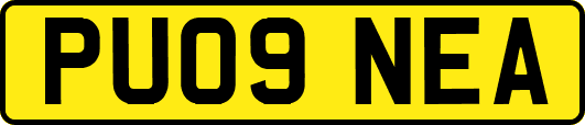 PU09NEA