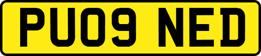 PU09NED