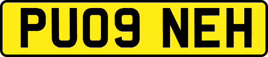PU09NEH