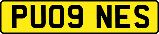 PU09NES