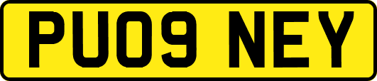 PU09NEY