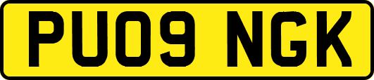 PU09NGK