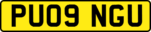 PU09NGU