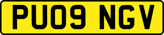 PU09NGV