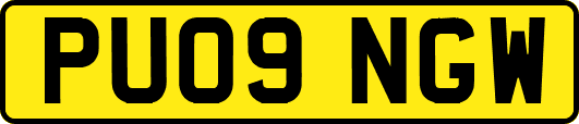 PU09NGW