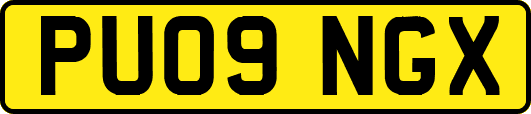 PU09NGX
