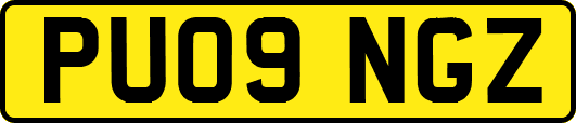 PU09NGZ