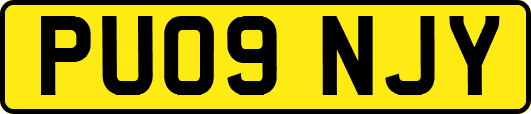 PU09NJY