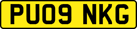 PU09NKG