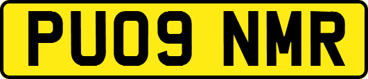 PU09NMR