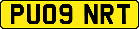 PU09NRT