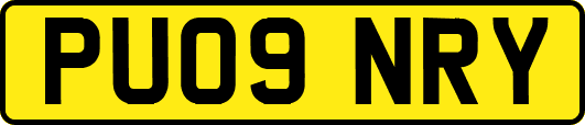 PU09NRY
