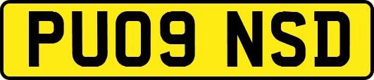 PU09NSD