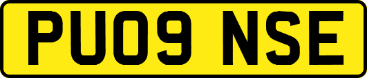 PU09NSE