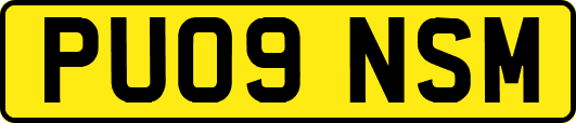 PU09NSM