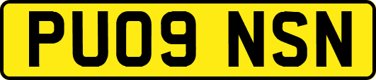 PU09NSN