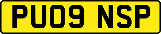 PU09NSP