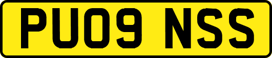 PU09NSS