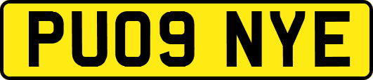 PU09NYE