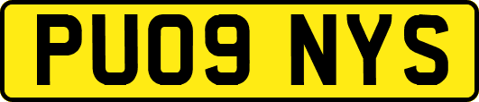 PU09NYS