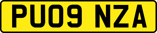 PU09NZA