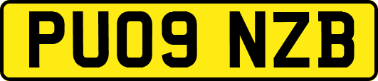PU09NZB
