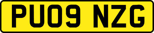 PU09NZG