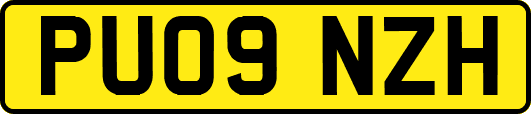 PU09NZH