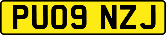 PU09NZJ