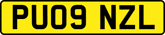 PU09NZL
