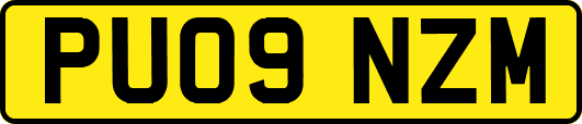 PU09NZM