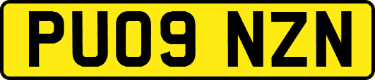 PU09NZN