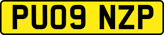 PU09NZP