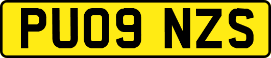 PU09NZS