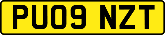 PU09NZT