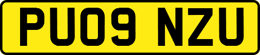 PU09NZU