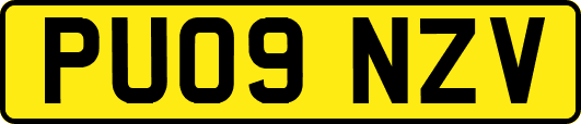 PU09NZV