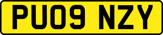PU09NZY