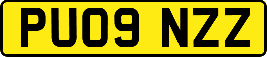 PU09NZZ