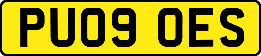 PU09OES