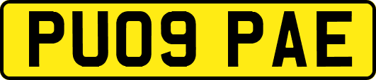 PU09PAE