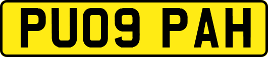 PU09PAH