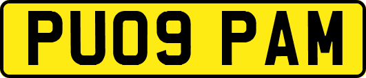 PU09PAM