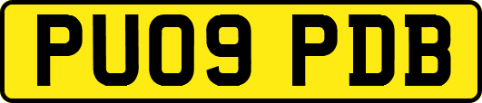 PU09PDB
