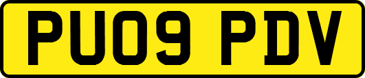 PU09PDV