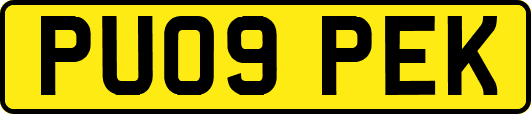 PU09PEK